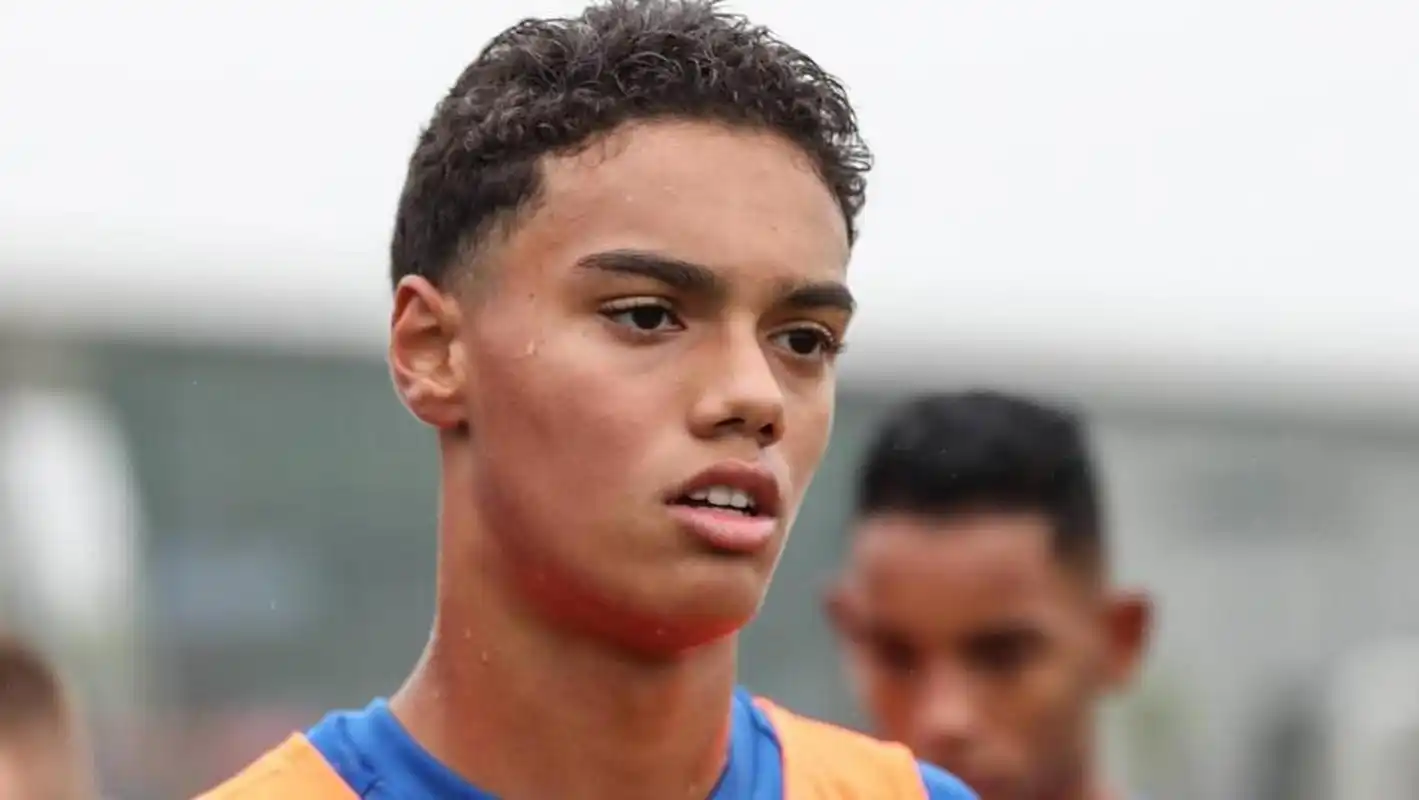 多的日本球 多的日本球