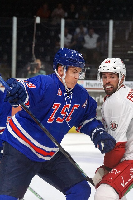 他们都书写 他们都书写